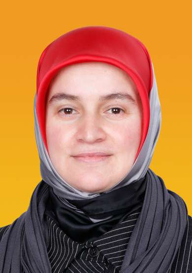HATİCE SARI